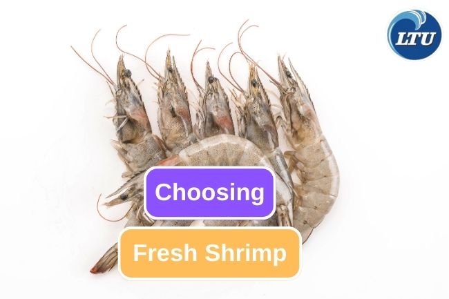 This Is How You Choose Fresh Shrimp